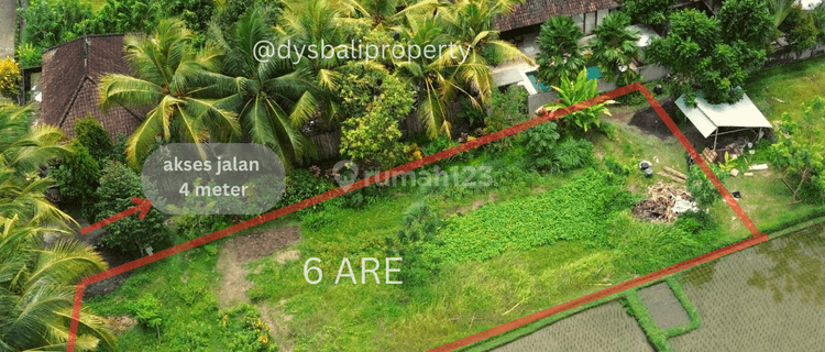 For Sale Leasehold Land With Richfield View At Sayan Ubud 1