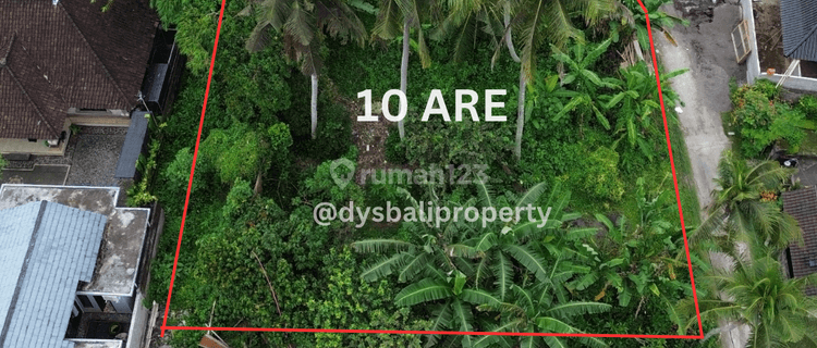 For Sale Leasehold Land In Private Area And Complex Villas At Demayu Singakerta , Ubud 1