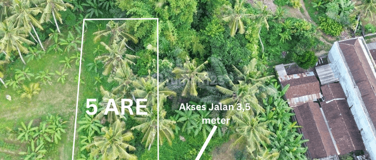 For Sale Leasehold Land Premium Location At Mawang Lodtunduh , Ubud 1