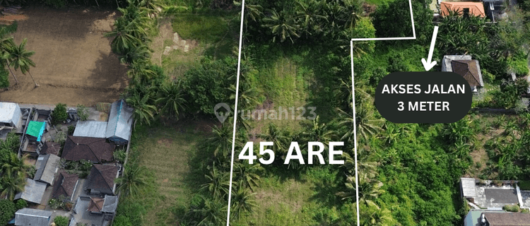 For Sale Freehold Land With Ricefield View At Silungan Lodtunduh 1