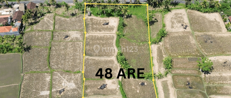 For Sale Leasehold Land In Complex Private Villa At Mas Ubud 1