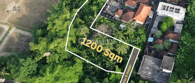 For Sale Leasehold Land With Ricefield View At Mawang Lodtunduh , Ubud 1