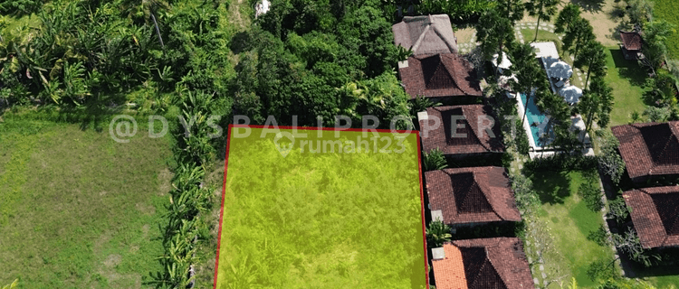 For Sale Rare Land , Leasehold land small size with ricefield view at Lodtunduh - Ubud 1