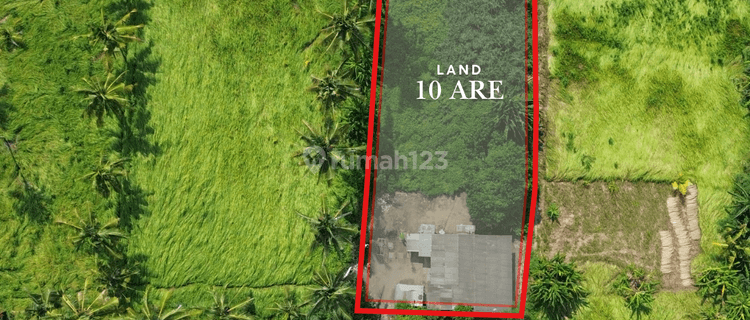 For Sale Leasehold Land at Lodtunduh - Ubud 1