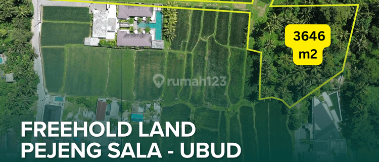 For Sale Freehold Land At Pejeng Sala Ubud 1