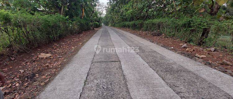 TANAH LUAS NEMPEL PINGGIR JALAN WONOGIRI  1