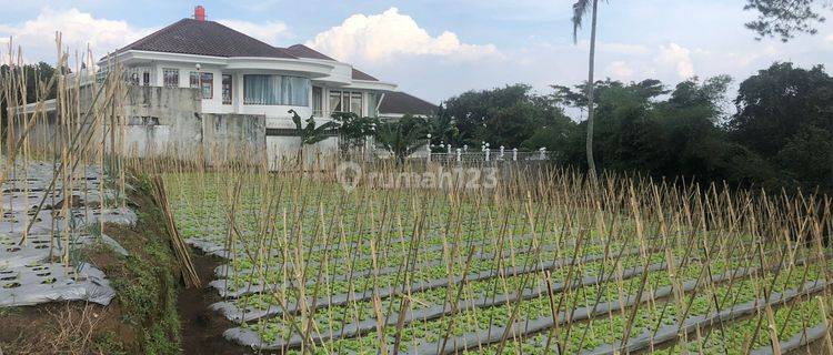 Jual Kavling Strategis Daerah Jl.sersan Bajuri Sampurna.sukasari Bandung 1