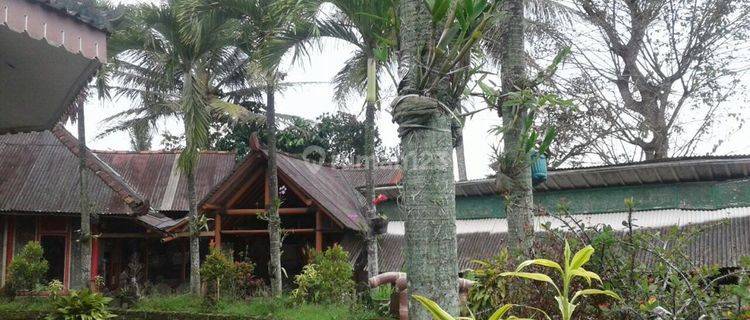 Resto dan pemancingan dengan view sawah di dekat Wisata Candi Borobudur Magelang 1
