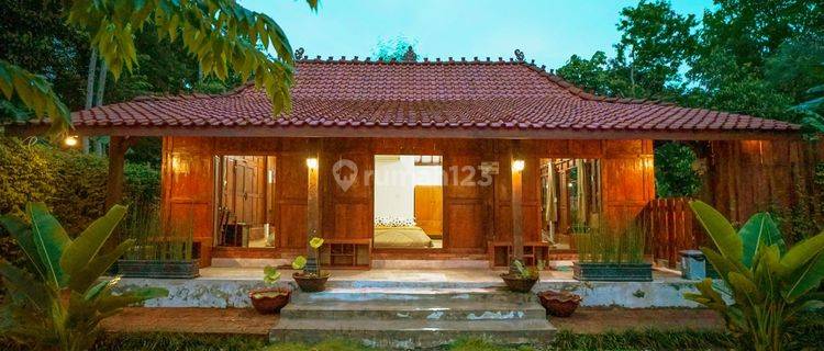 Rumah villa dengan private pool di Wonosari Gunungkidul  1