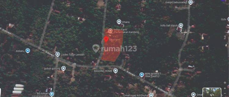 Dijual Tanah Luas Area Kulonprogo Cocok Utk Perkebunan Peternakan 1