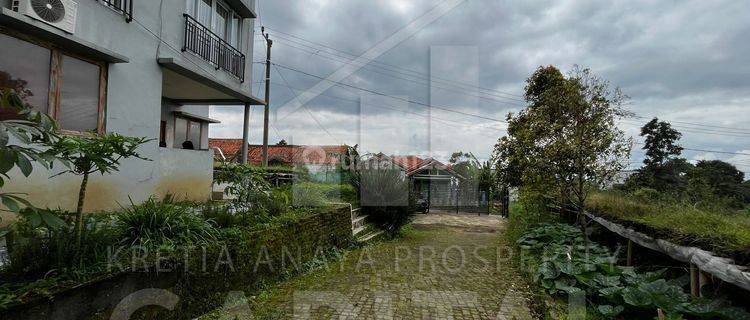 Villa Dan Kebun Mawar Di Cisarua Lembang  1