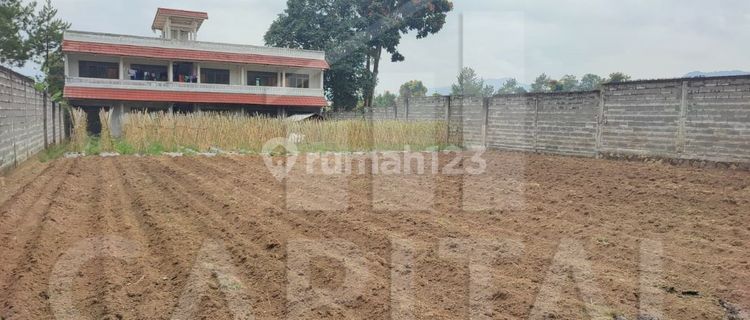DIJUAL TANAH SHM DI MARIBAYA LEMBANG BANDUNG BARAT 1