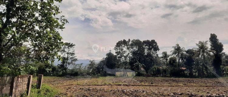 Jual Sawah Produktif Cianjur (Ciranjang) 1