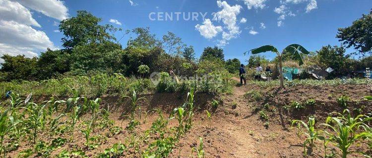 Lahan Luas Murah Cocok Untuk Perumahan Dijual Di Lokasi StrategIs 1