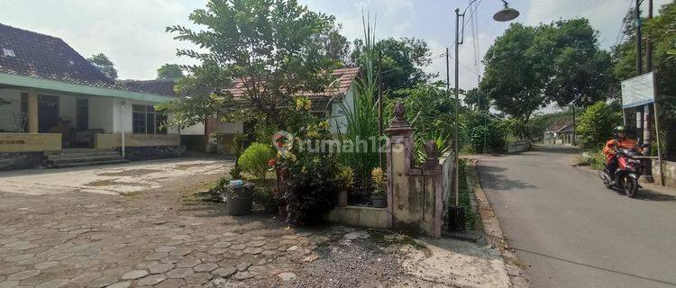 Rumah di Sewakan Bagus Dekat Sch di Pandowoharjo, Sleman 1