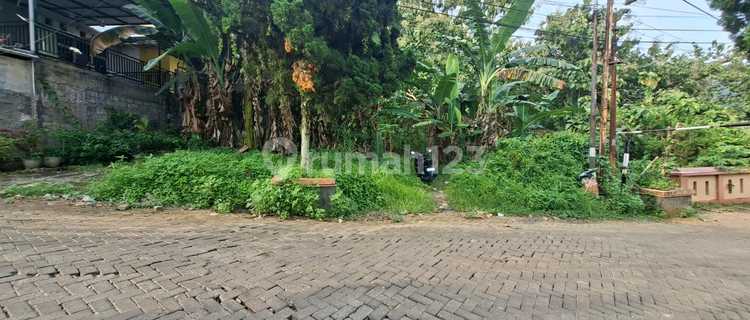 Disewakan Kav di Bulusan Selatan Tembalang 1