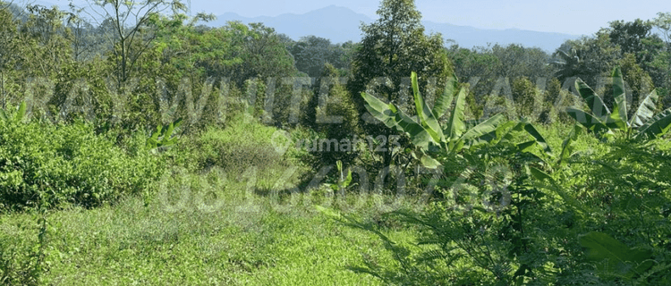 Tanah Luas Untuk Wisata / Perumahan di Cibinong Hilir, Cianjur 1