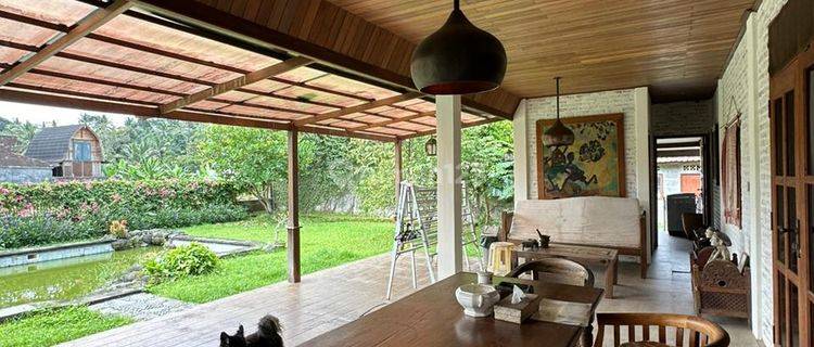A Nice And Cozy House In A Good Area 1