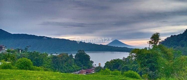 TANAH MURAH JALAN UTAMA BEDUGUL VIEW DANAU 1