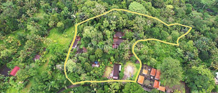 Jual Tanah Loss Sungai Ayung Bongkasa Ubud View Jungle 1