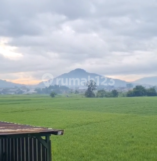 Dijual Rumah Daerah Padalarang Kbb Full Pemandangan 1