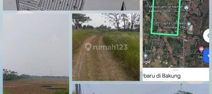 Tanah Murah Untuk Industri Jalan Raya Kronjo Balaraja Tangerang. 1