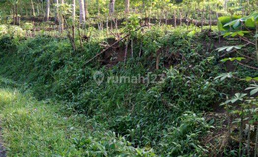 Dijual Tanah Satu Hamparan di Leuwiliang Kawalu Tasikmalaya 1