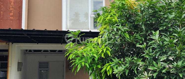 Dijual Rumah SHM 2 Lantai The Icon, Cluster Eastern Cosmo di Bsd City, Tangerang 1