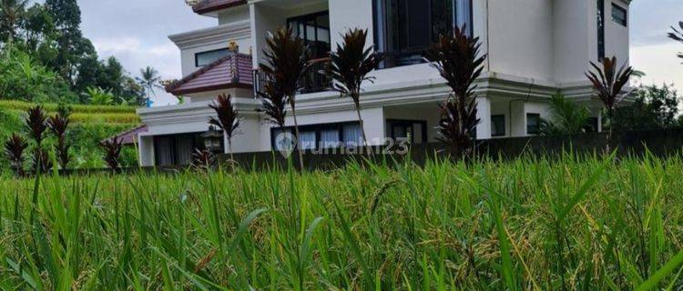 Dijual Rumah 2 Lt. di Tegallalang, Gianyar Bali 1