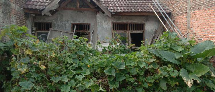 Rumah Hitung Tanah Bebas Banjir Di Perum Tigaraksa Tangerang 1