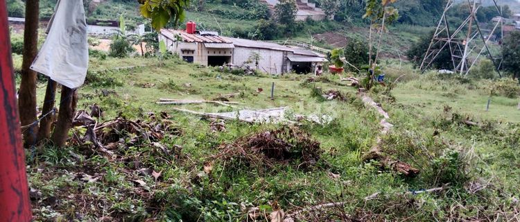 Land for Sale in Mangunharjo, Ready to Build, City View, Near SMPN 33 Semarang 1