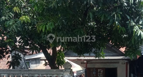 Land for Sale with Building Bonus in Sambiroto Near Unimus Primaya Unkaha Superindo 1