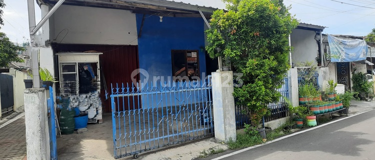 Rumah Luas Lamper Tengah Dekat Java Mall Simpang 5 Undip Upgris Usm Amni Exit Tol Gayamsari 1