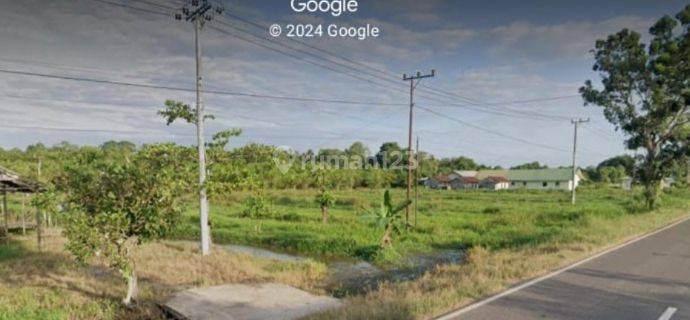 Jual Cepat Tanah Di Sampit, Kalimantan Tengah 1