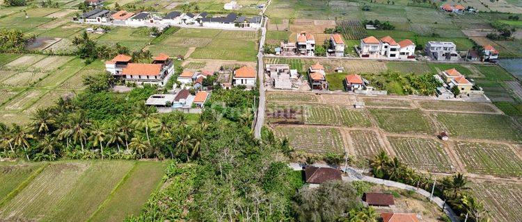 Land with Rice Field View in Singakerta Tebongkang Ubud Gianyar Bali 1