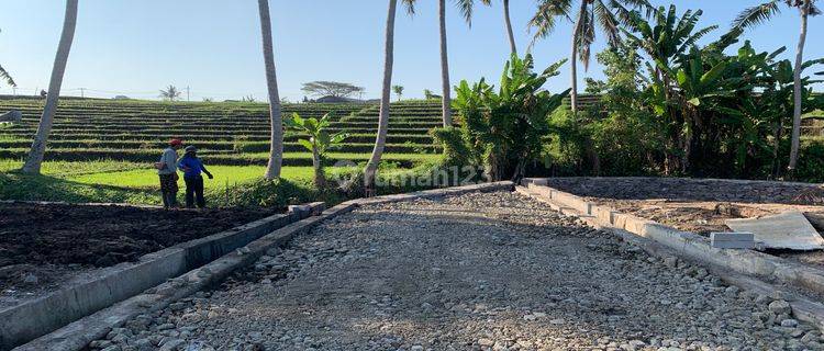 Tanah Kavling Di Area Pantai Yeh Gangga Tabanan  1