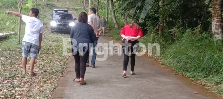 TANAH POLOBUGO SIAP BANGUN UNTUK HUNIAN VILA DLL KOPENG 1