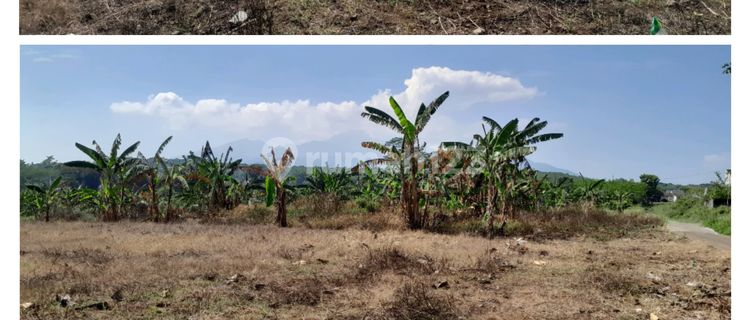 Tanah Murah,dibawah Njop,shm,istimewa Lokasi Di Mijen Semarang 1