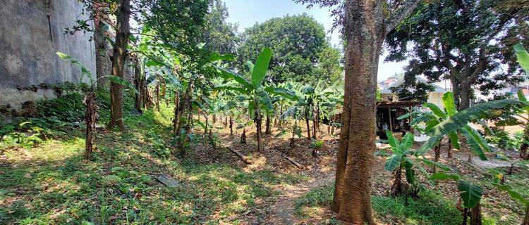 Jual Cepat (BU) Tanah di Perum Taman Cimanggu, Kota Bogor 1
