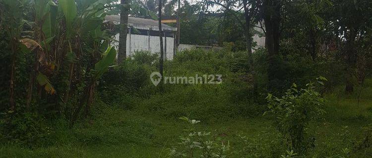 Dijual Tanah SHM 3.036 m² Mainroad Jl Raya Purworejo Kutoarjo Jl. Gajah Mada Kabupaten Purworejo 1