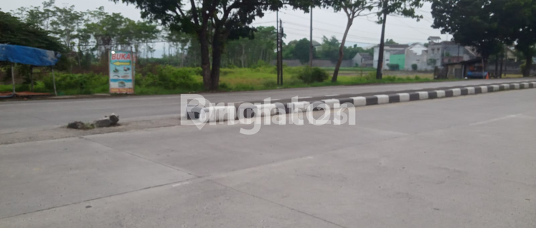 Tanah Jl Pantura Kendal Jawa Tengah 1