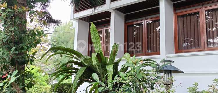 Rumah Homy Full Furnish Exclusive Di Budiasih Setiabudi Bandung 1