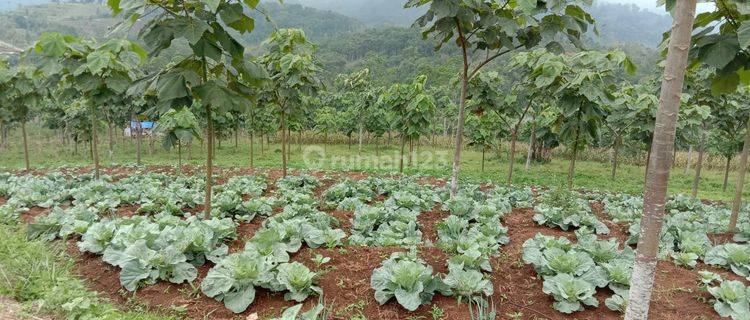 Dijual Murah Tanah di Majalengka, Jawa Barat  1