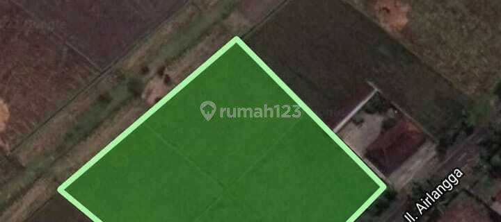 Dijual Tanah Rowotamtu 1