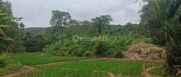 Dijual Tanah di Desa Karang Bolong, Pandeglang, Banten 1