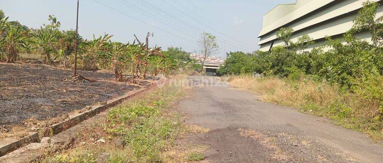 Tanah Lahan 8 Hektar Dijual Cepat Di Kaliwungu Kendal 1