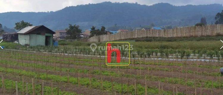 Tanah Luas Cocok Untuk Usaha, Perkebunan, Lokasi karo, Kabanjahe, Sumatera Utara 1