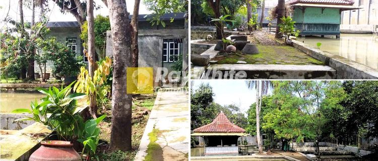 Jual Tanah, Kolam Ikan & Sarang Burung Walet Lokasi Strategis Di Cigasong, Majalengka 1