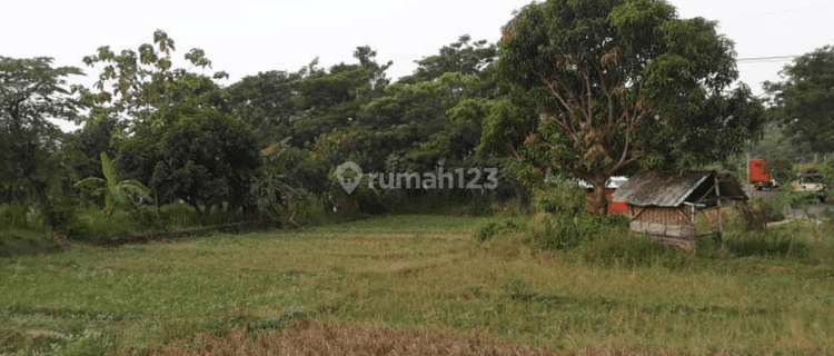 Dijual Tanah di Cicenang, Cigasong 1