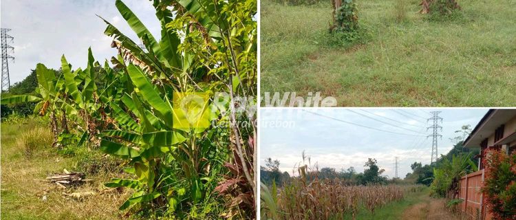 Jual Tanah Sawah Shm Di Baribis, Majalengka 1